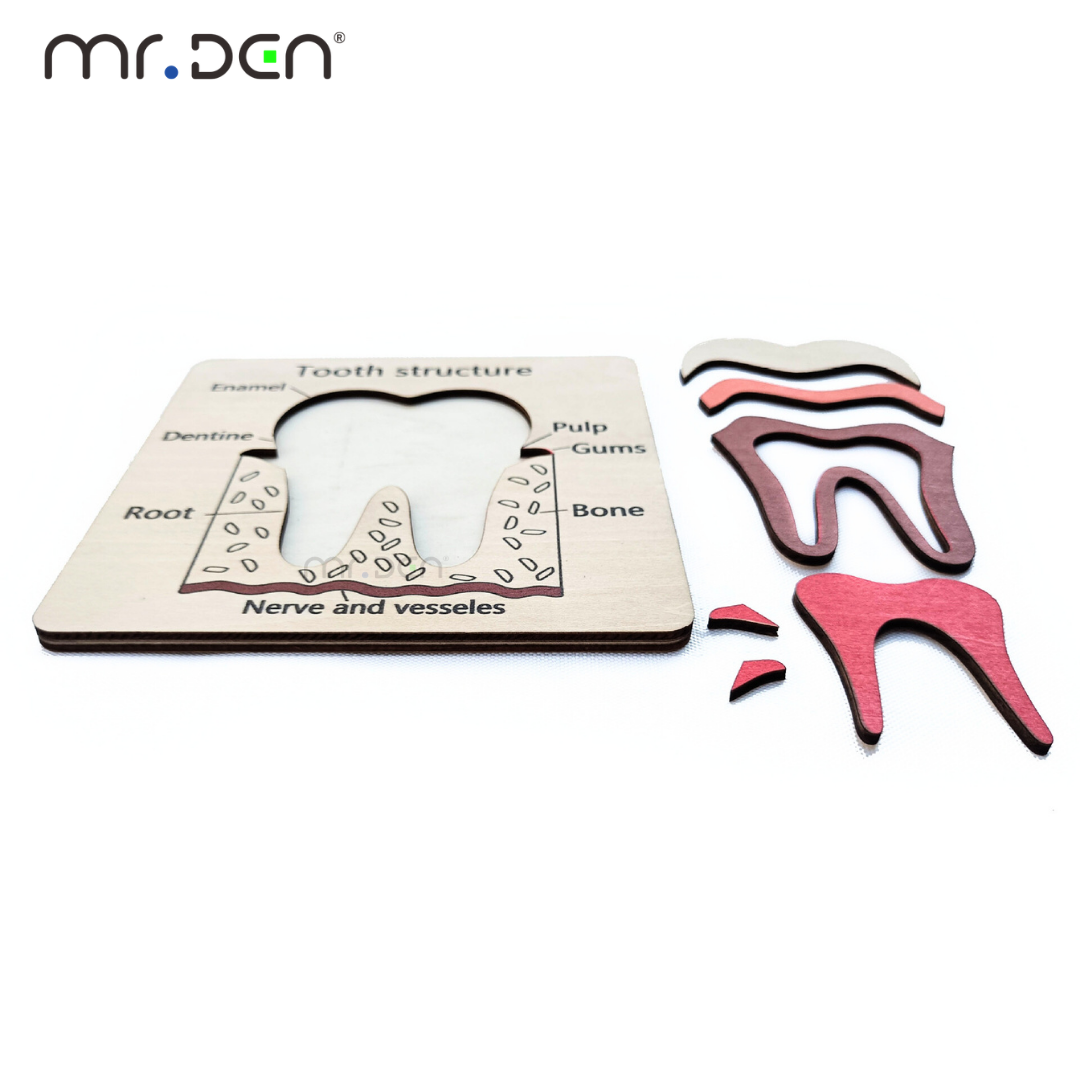 Dental Exploration Game Tooth  - Board Game For Kids ulasan dan harga