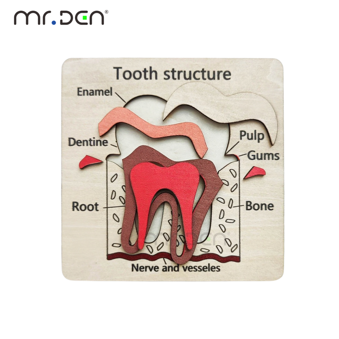 Dental Exploration Game Tooth  - Board Game For Kids ulasan dan harga